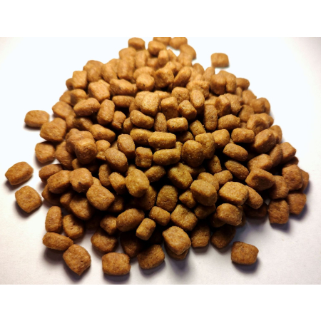 Royal Canin Yorkshire Terrier